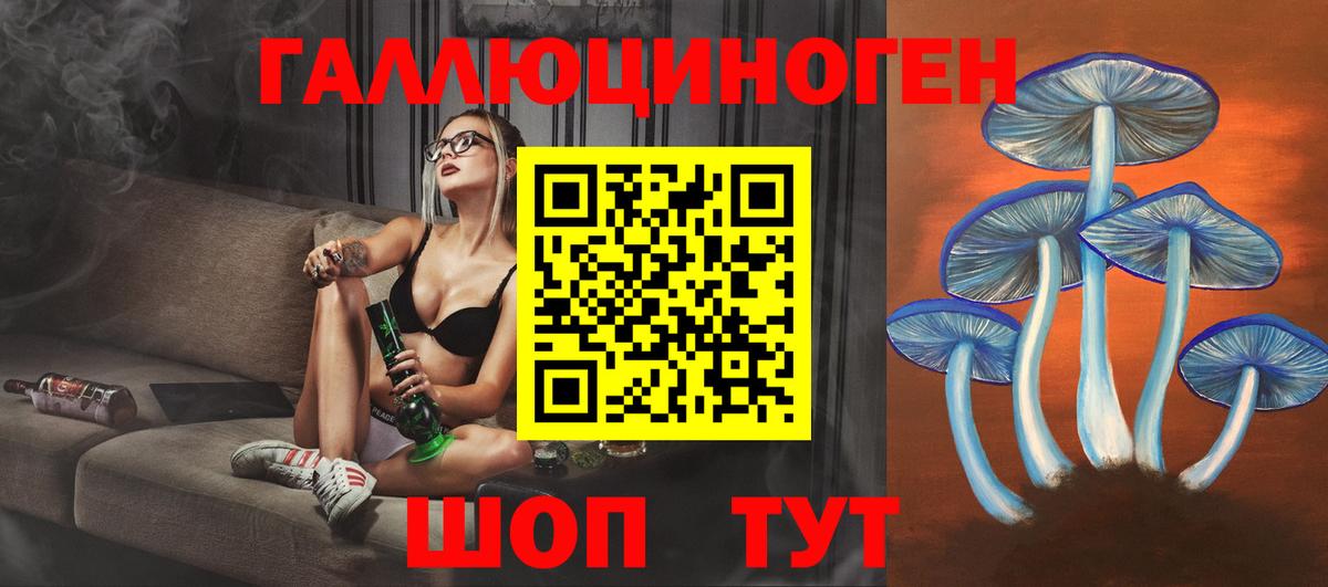 Оренбург  Псилоцибиновые грибы мухоморы  Вход с VPN 
